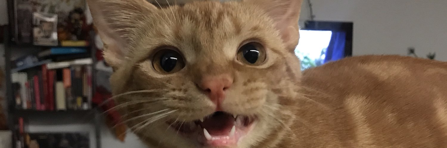 gothdad89's profile banner image