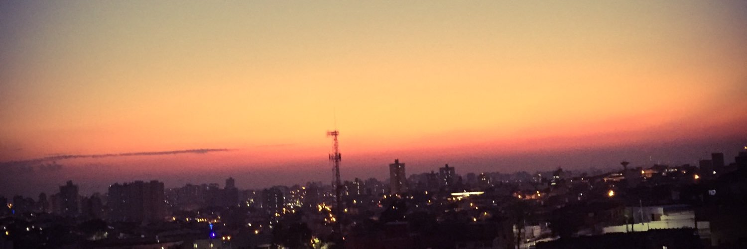 pamarquezini's profile banner image
