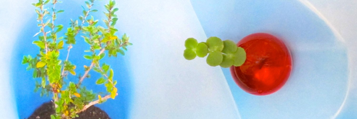 bionicphoto's profile banner image