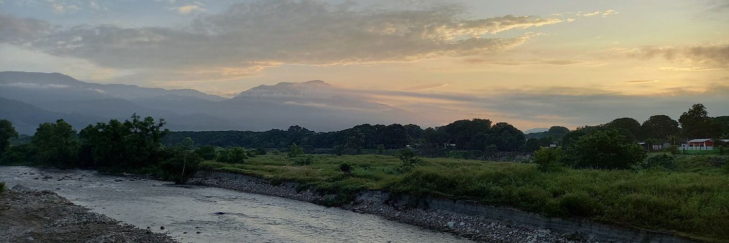 pachepek's profile banner image