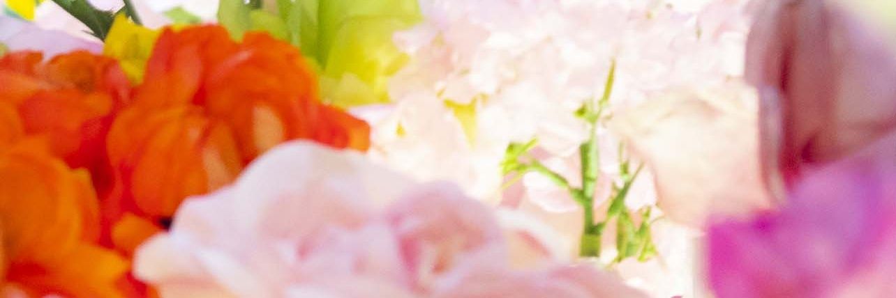 🌻ひまわり🌻本音垢 banner