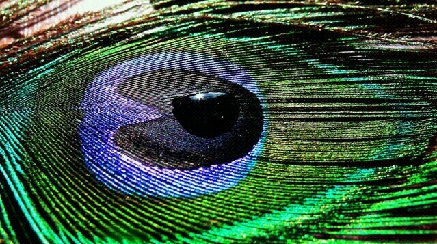 ASult23's profile banner image