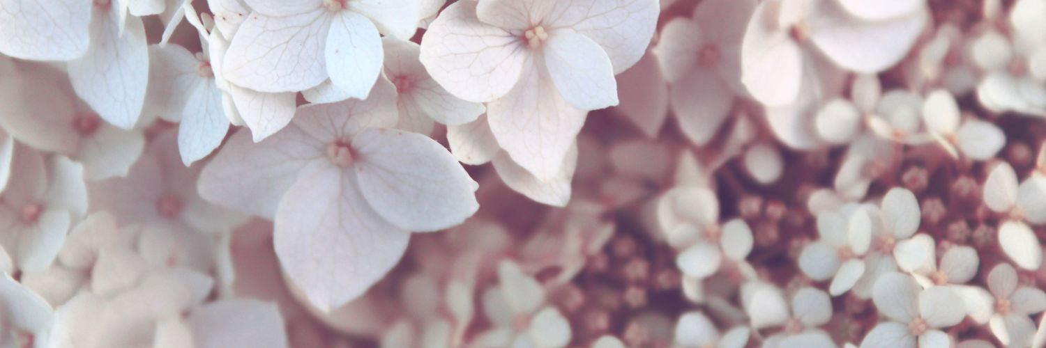 brighthakyeon's profile banner image