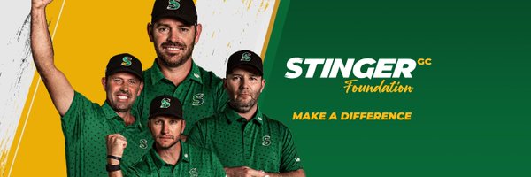 StingerGCFund Profile Banner