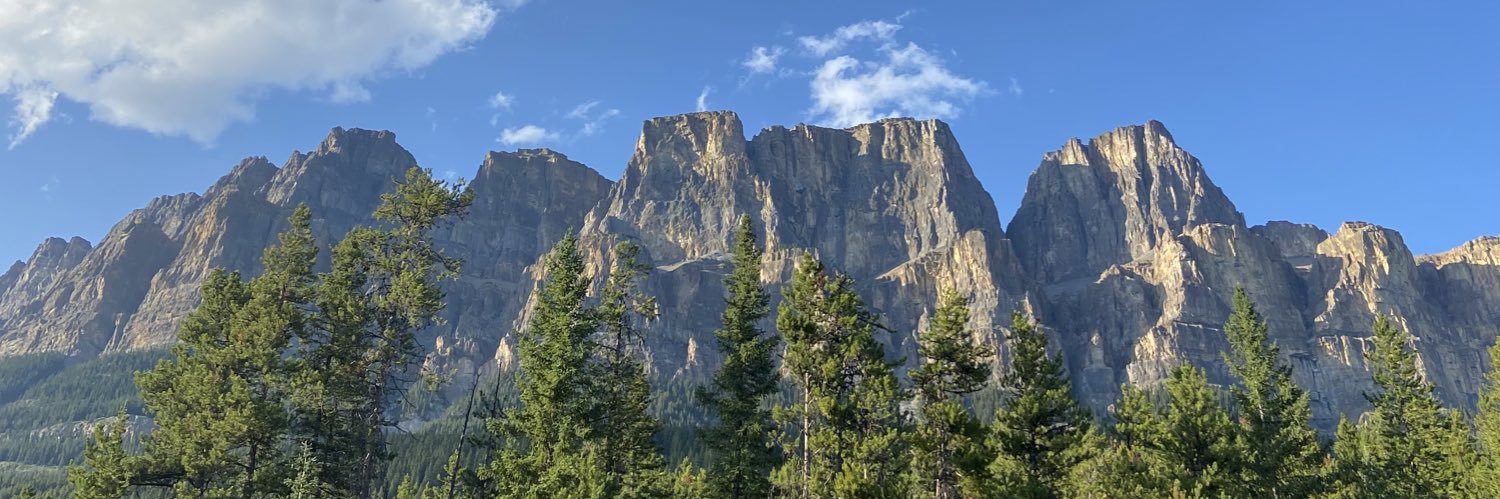 taylorwryy's profile banner image
