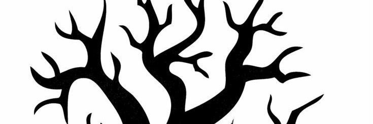 GrootGutierrez4's profile banner image