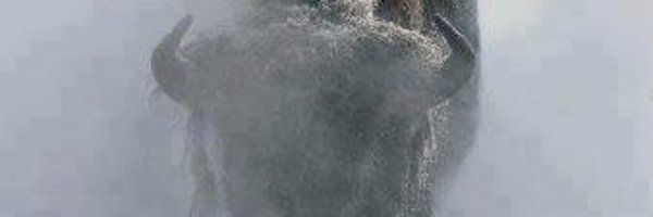 CoachGrasmick Profile Banner