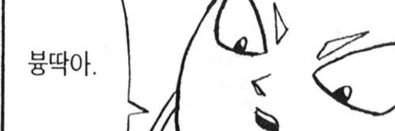 kkol_kkap's profile banner image