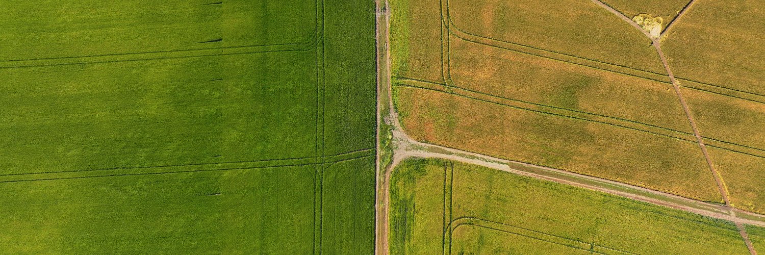 BarneyEstates's profile banner image