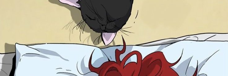 kate ✨ banner