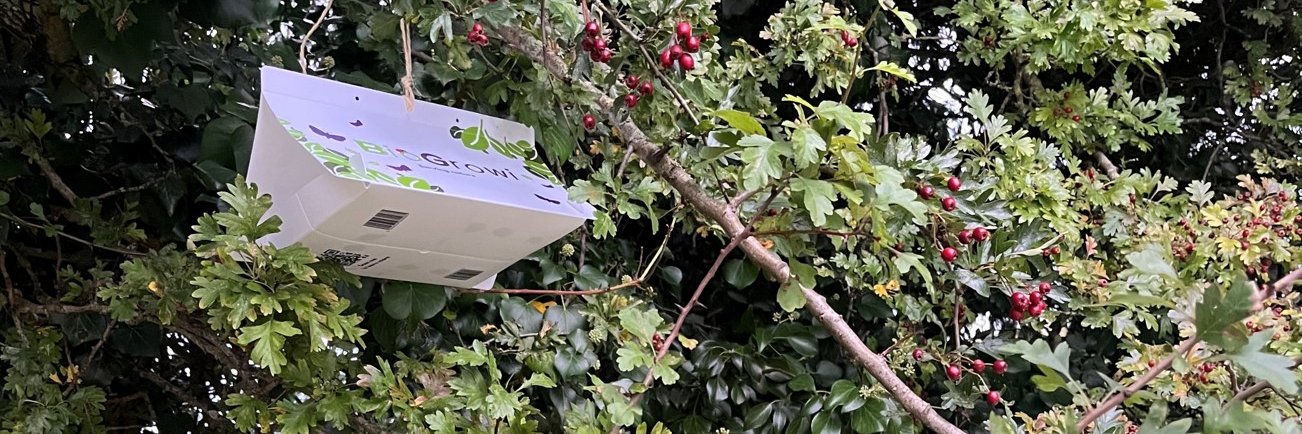 SporeWatchIreland banner