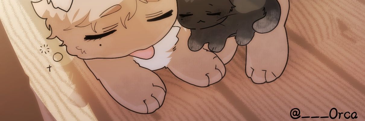 도도 banner