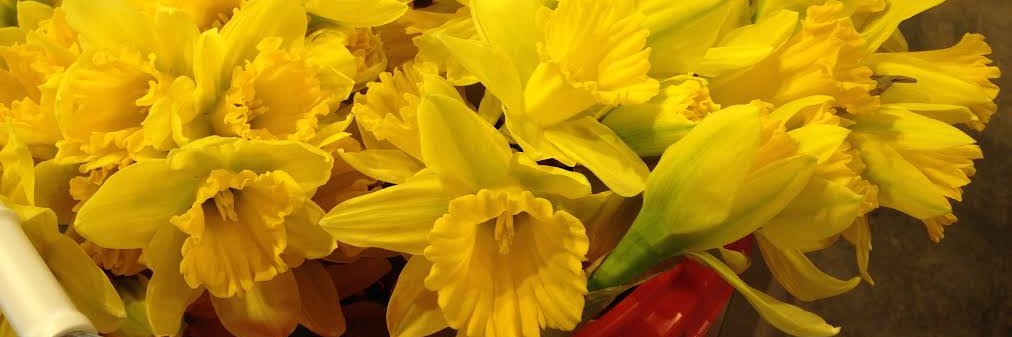 KNKX Public Radio banner