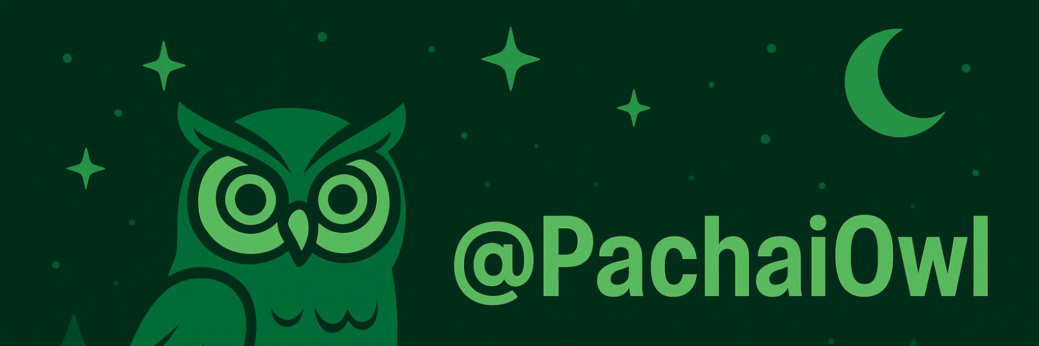 PachaiOwl's profile banner image