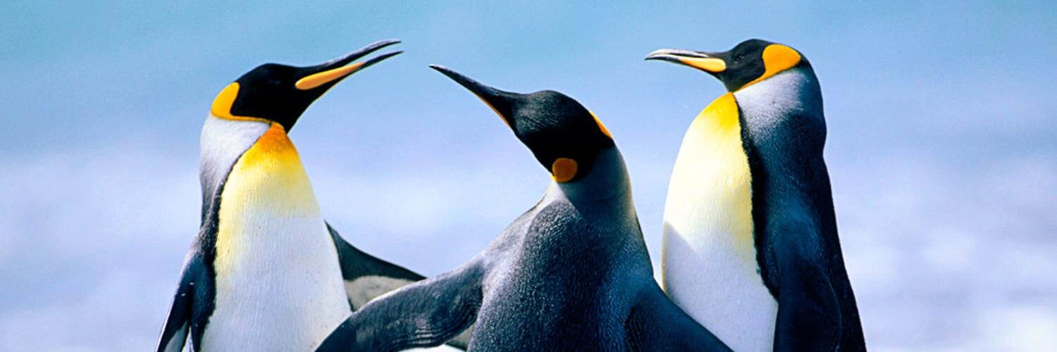 BinLearning's profile banner image