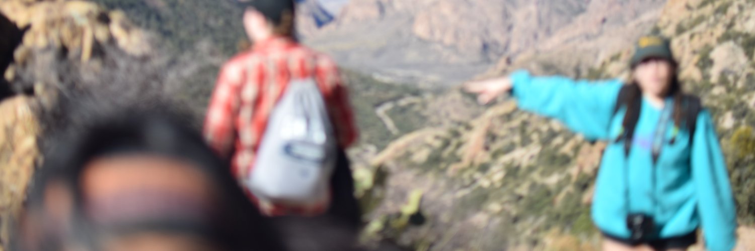 RissaPomp's profile banner image