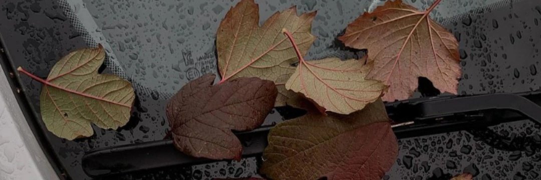 uzerbella's profile banner image