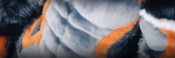 AK9_GS Profile Banner
