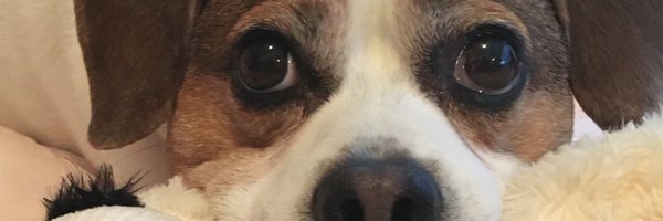 nssandskip1 Profile Banner