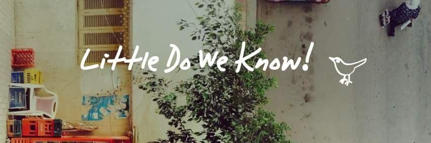 madeline_Elabd's profile banner image