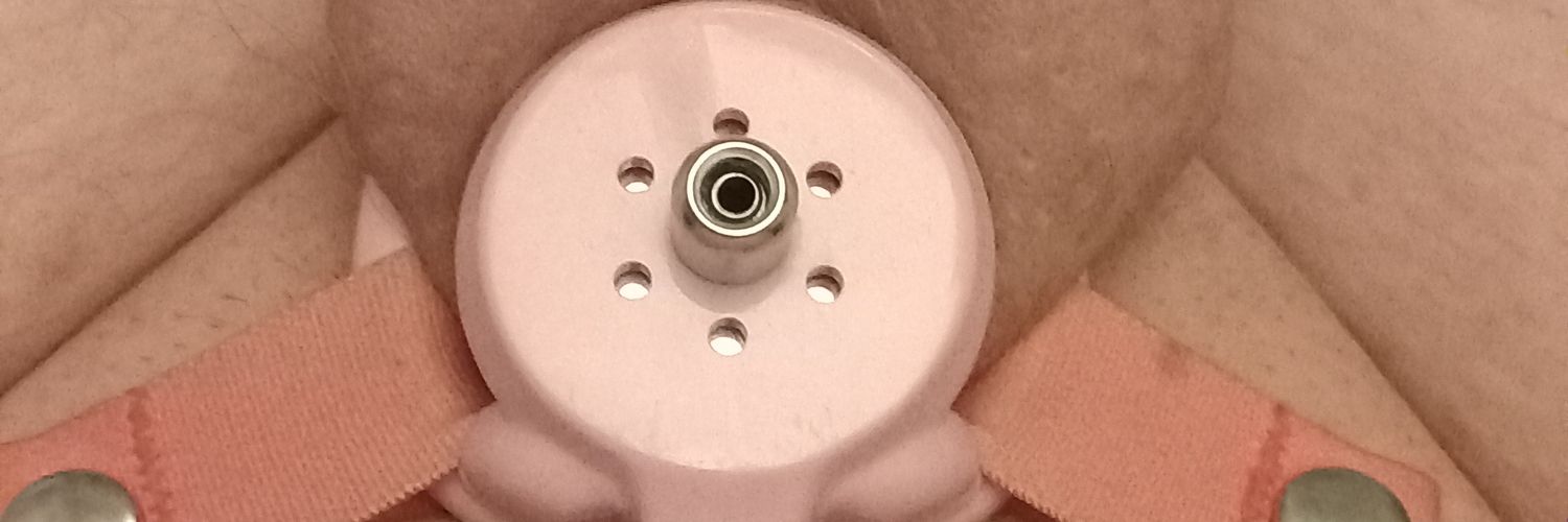 Wilma Michelle banner