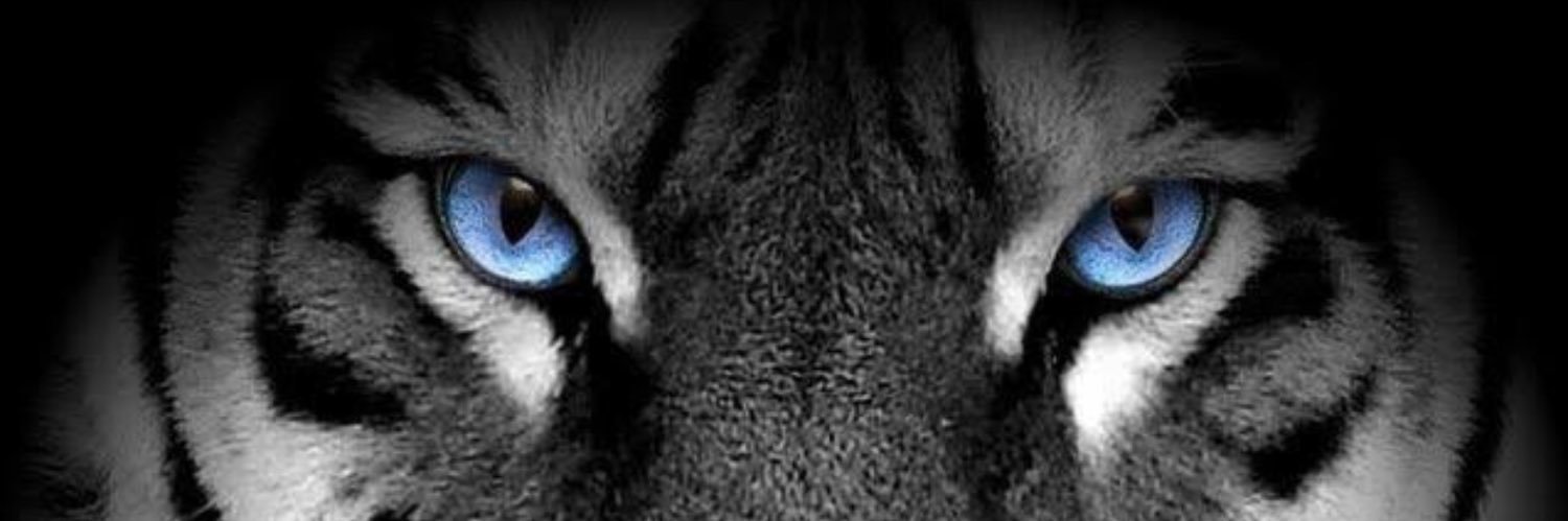 metaz71's profile banner image