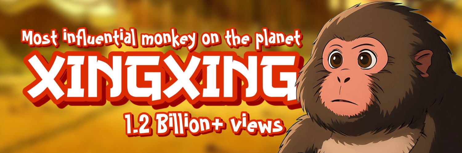 Xing Xing banner