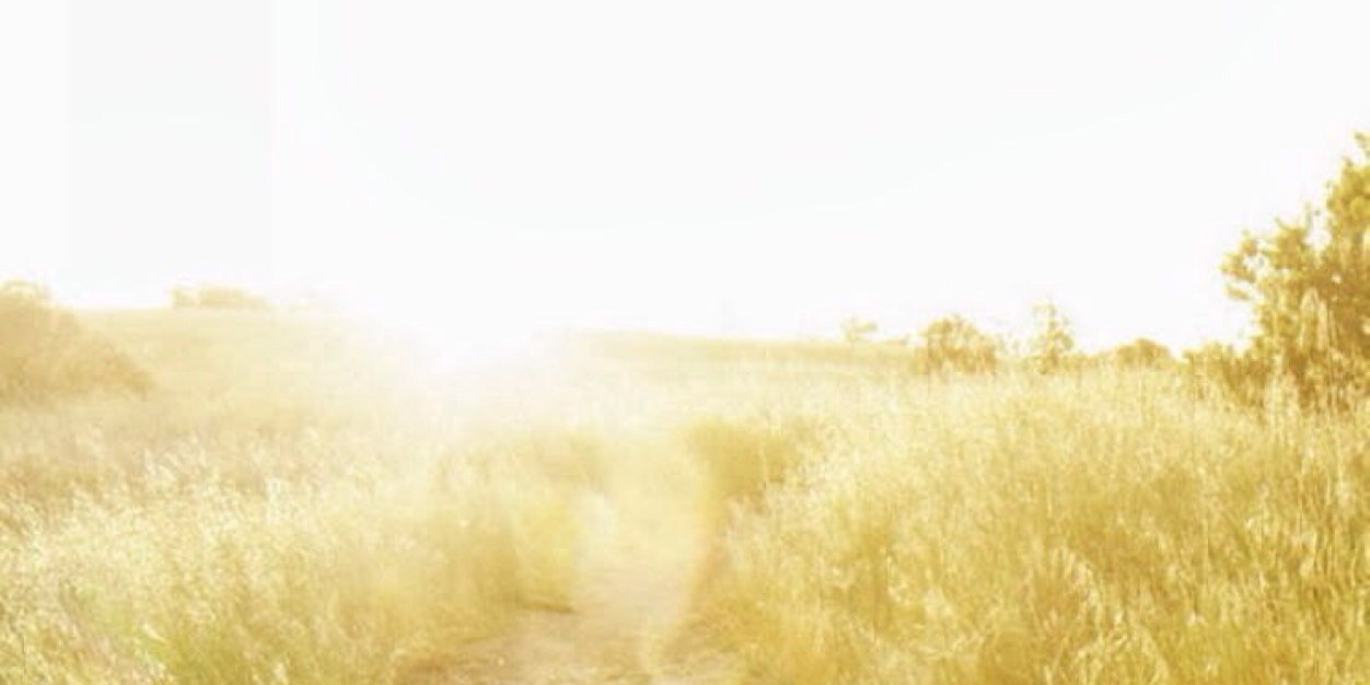 Pochic0's profile banner image