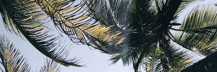 Doloramirez_'s profile banner image