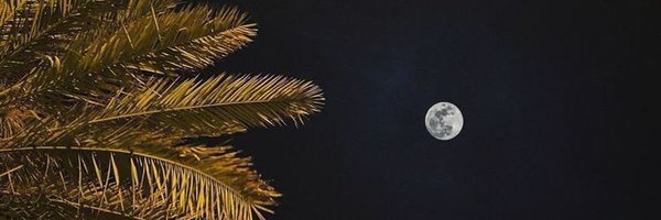 khaliid40 Profile Banner