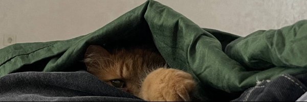 Emilybeersma Profile Banner