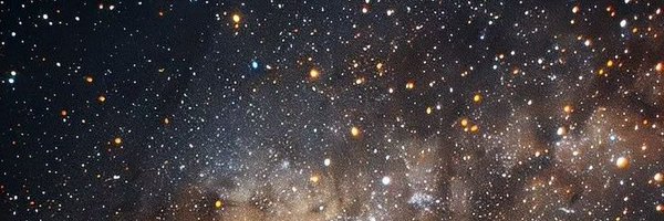 PhantomDev001 Profile Banner