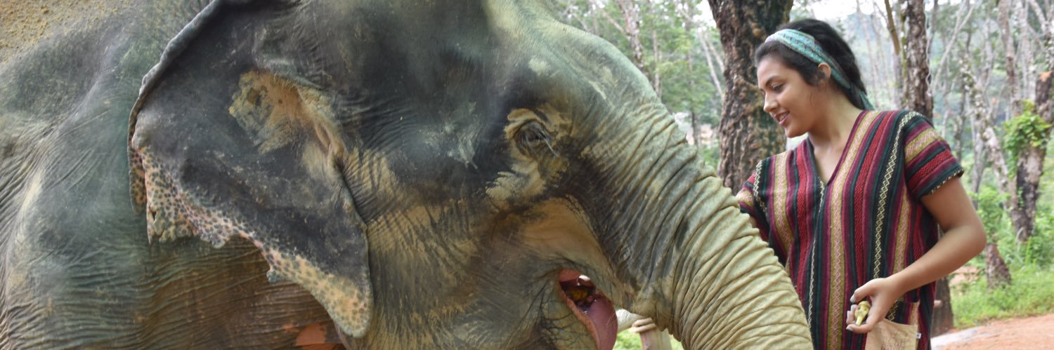 Andrea Mendiola banner