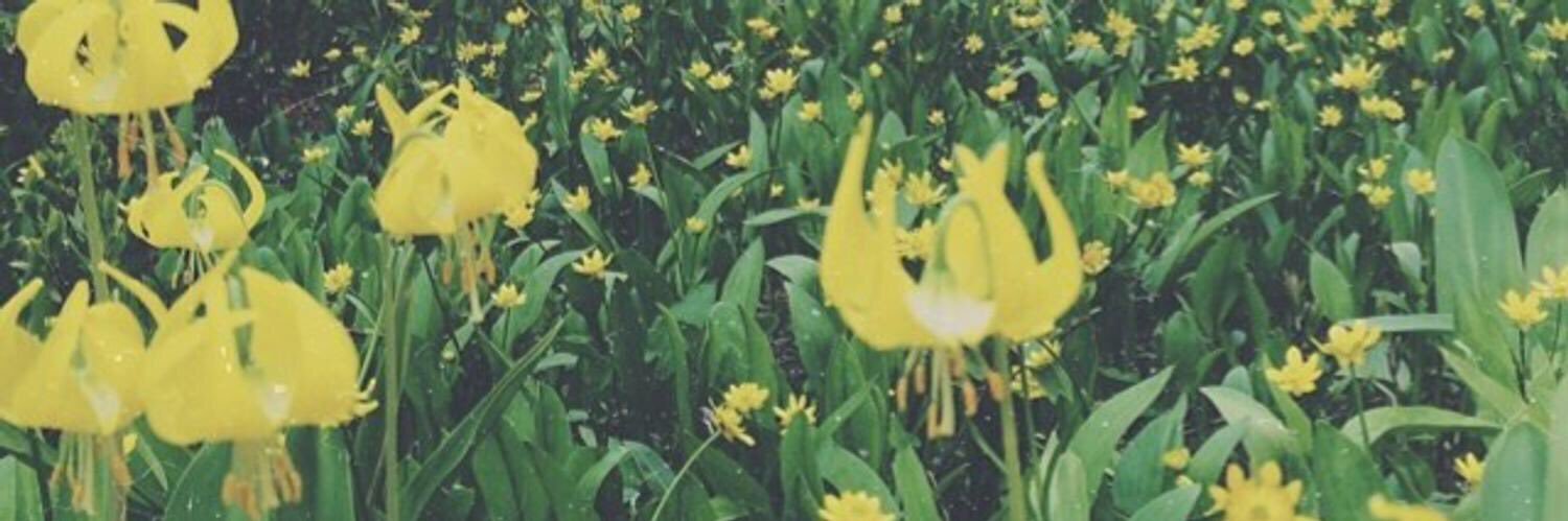 Thinasair__'s profile banner image