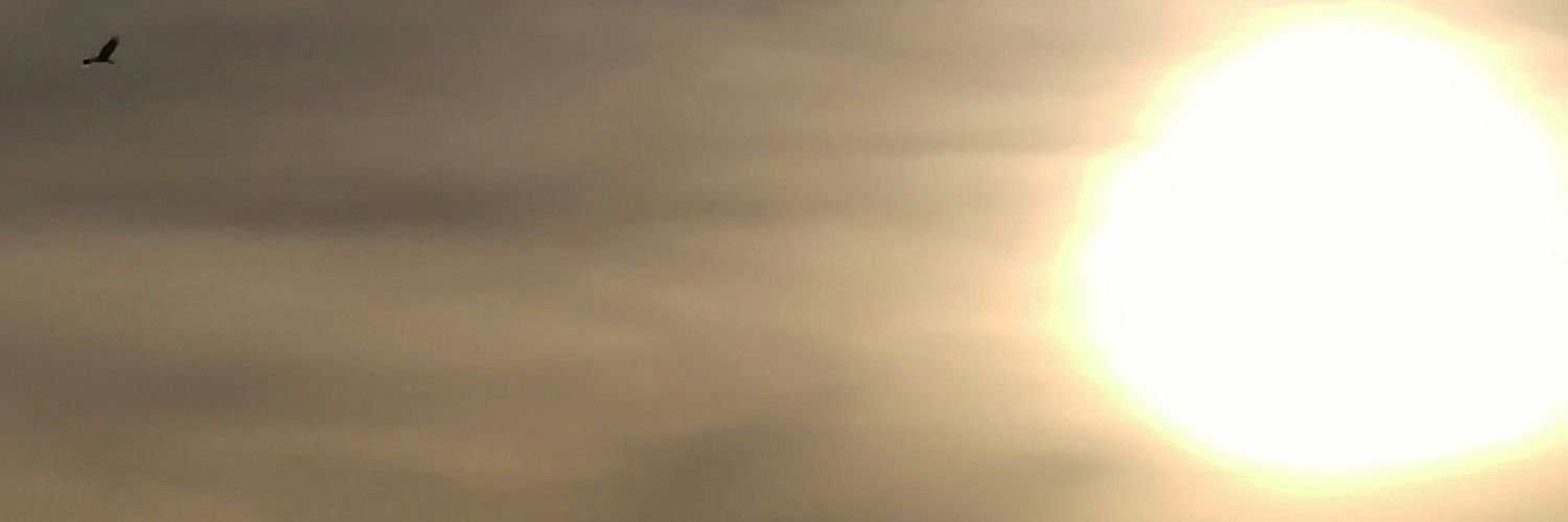 Muroc816's profile banner image