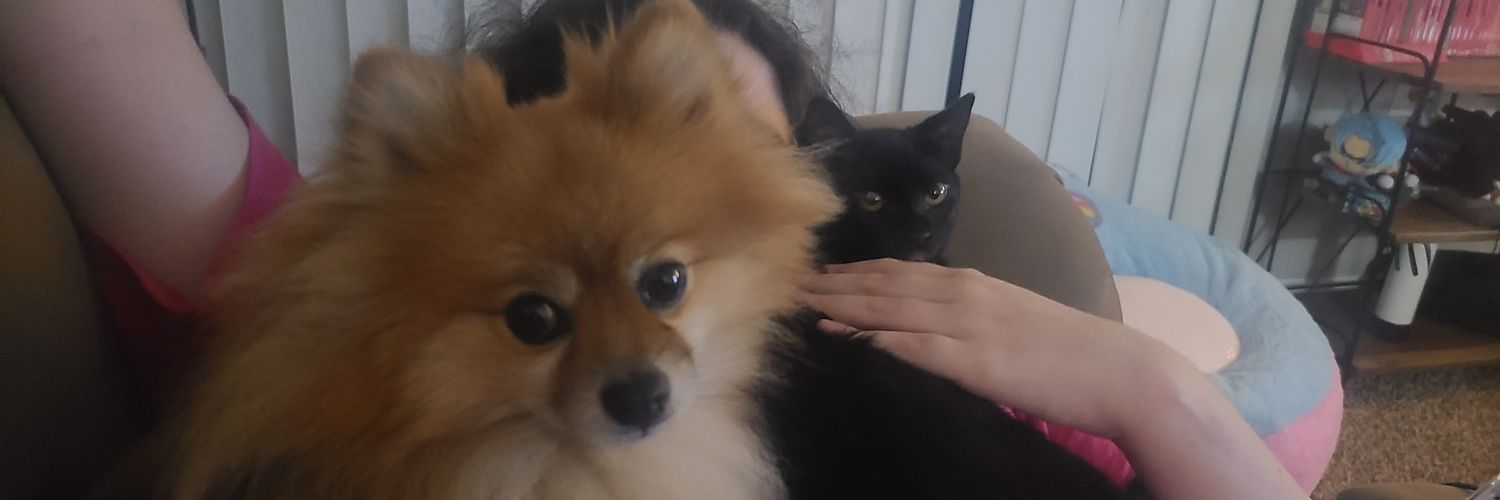 yellowspaghet banner