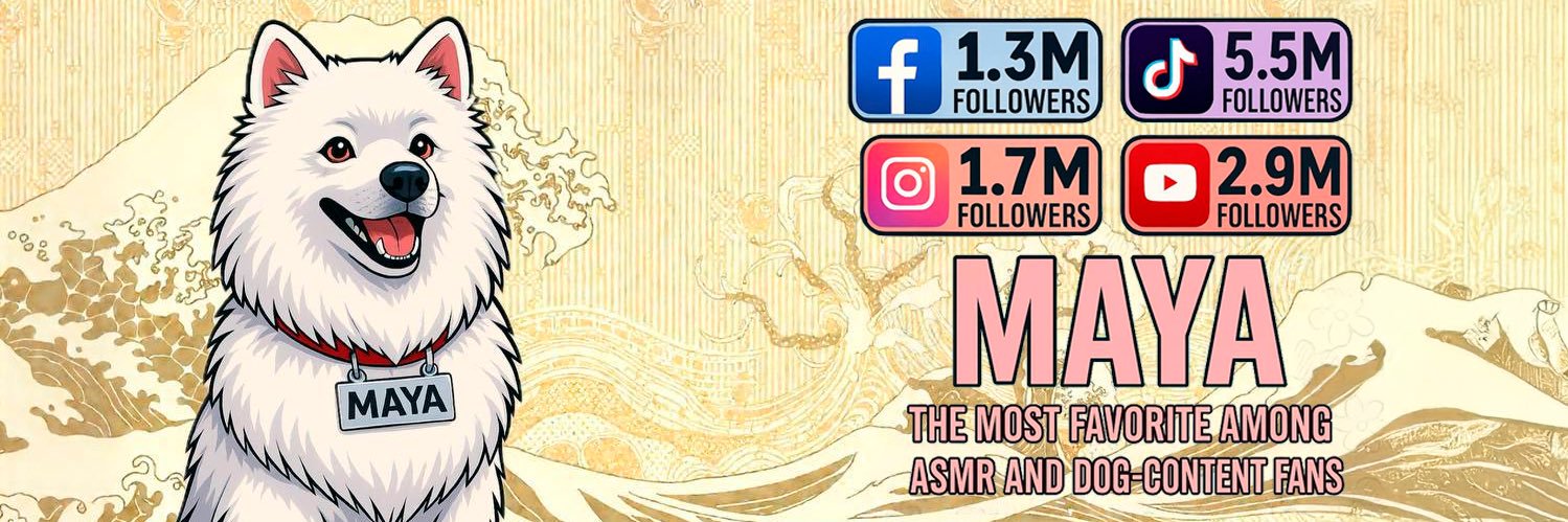 MayaSamoyedCTO's profile banner image