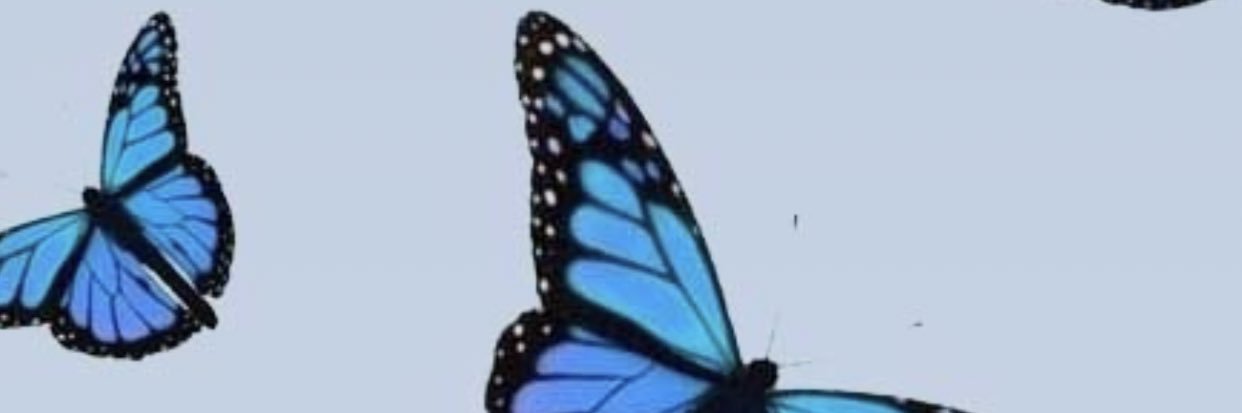 resterhannah's profile banner image