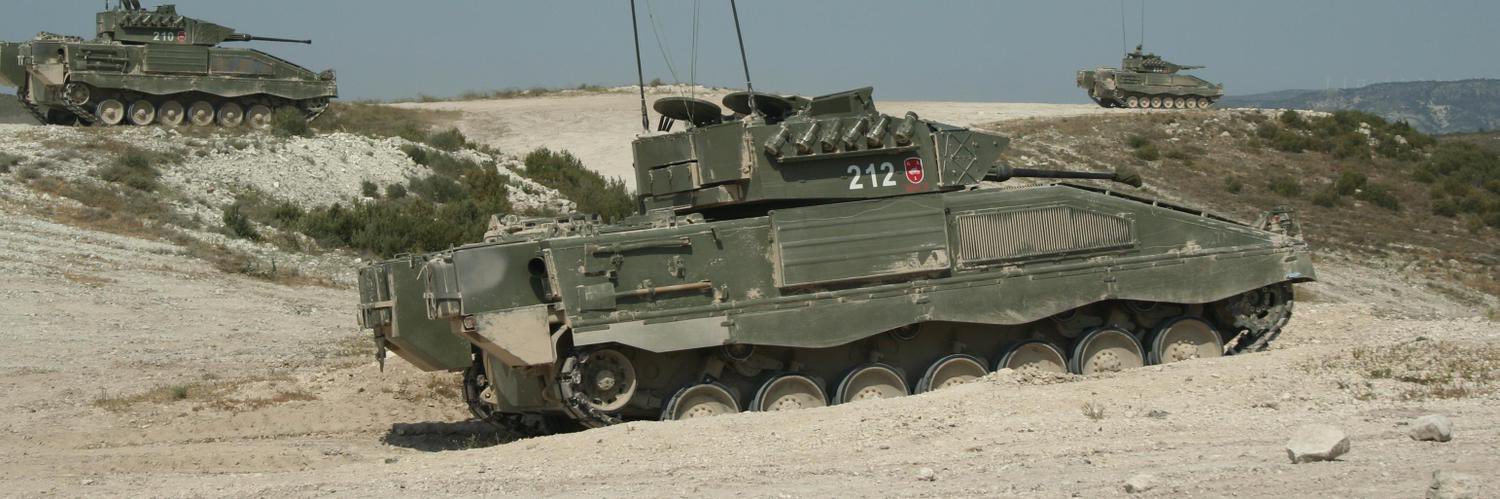 La Madre Del Topo banner