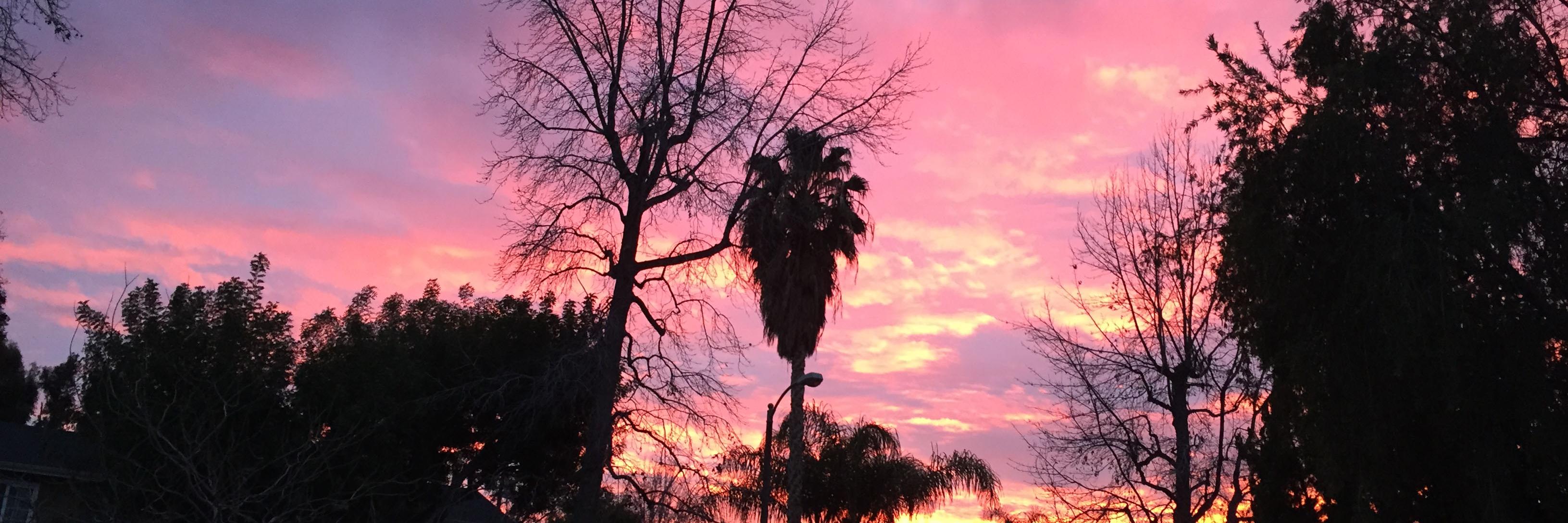 Elliot S! Maggin banner