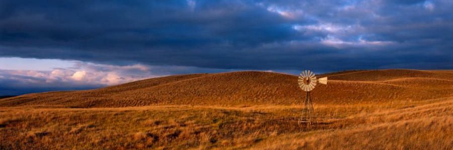 ☩🇺🇸FlatLand Zoo 🧯 banner