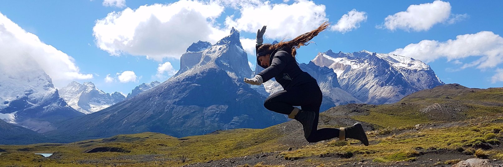 sofiaburford's profile banner image
