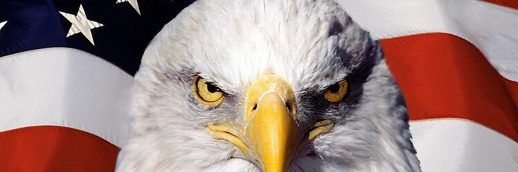 Josh Darakdjian banner