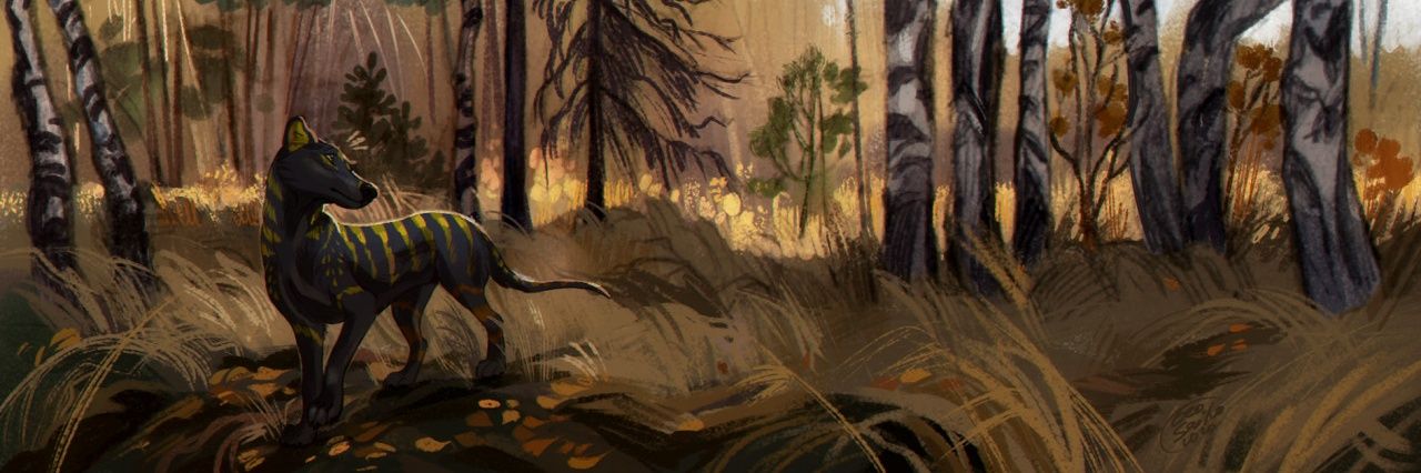 QueenLacine's profile banner image