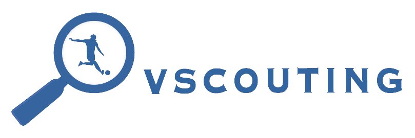 VScouting banner