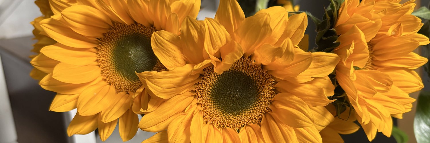 _allboutash_'s profile banner image