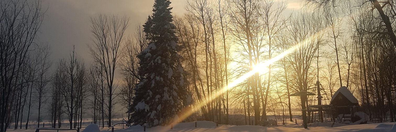 jfbergeron71's profile banner image