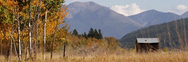 BigforkEagle Profile Banner