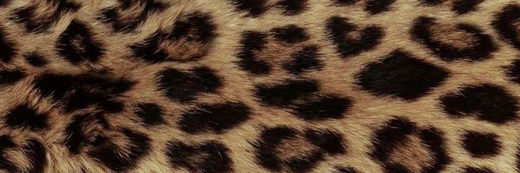 luxebunnyy's profile banner image