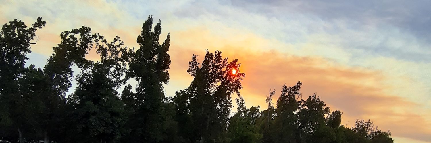 MariosoRod's profile banner image